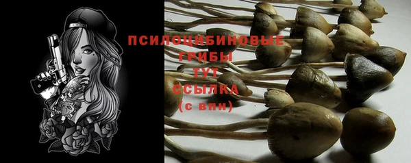 2c-b Белокуриха