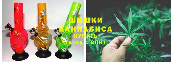 шишки Вяземский