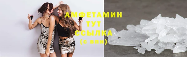ГАЛЛЮЦИНОГЕННЫЕ ГРИБЫ Ельня