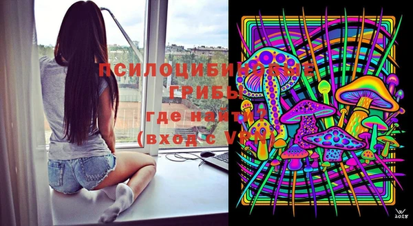 2c-b Белокуриха